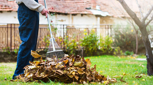 Professionnels Brûlage des déchets verts